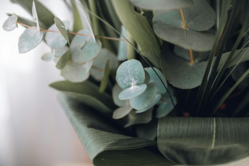 green plant in close up photography